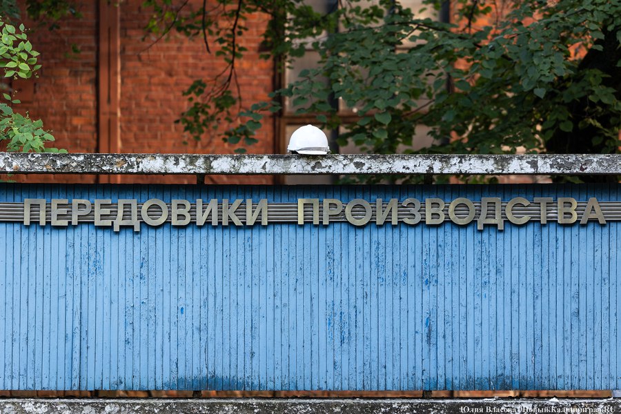 Фото: Юлия Власова / Новый Калининград