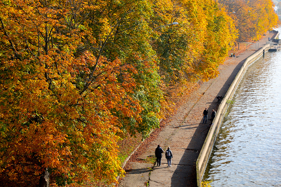 Время тыквы: как в Калининграде проходит необычная осень (фото)