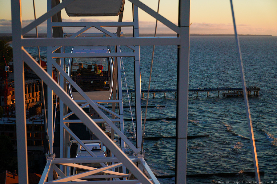 Фото: Виталий Невар / Новый Калининград