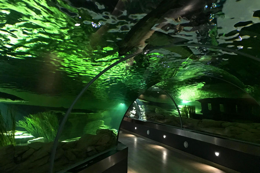 Фото — «Новый Калининград»