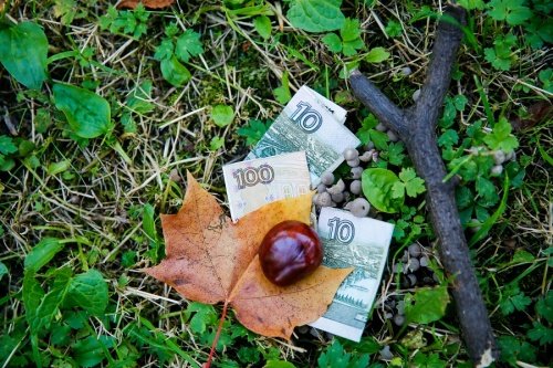 День 4: домашняя еда и чиновничьи расчеты