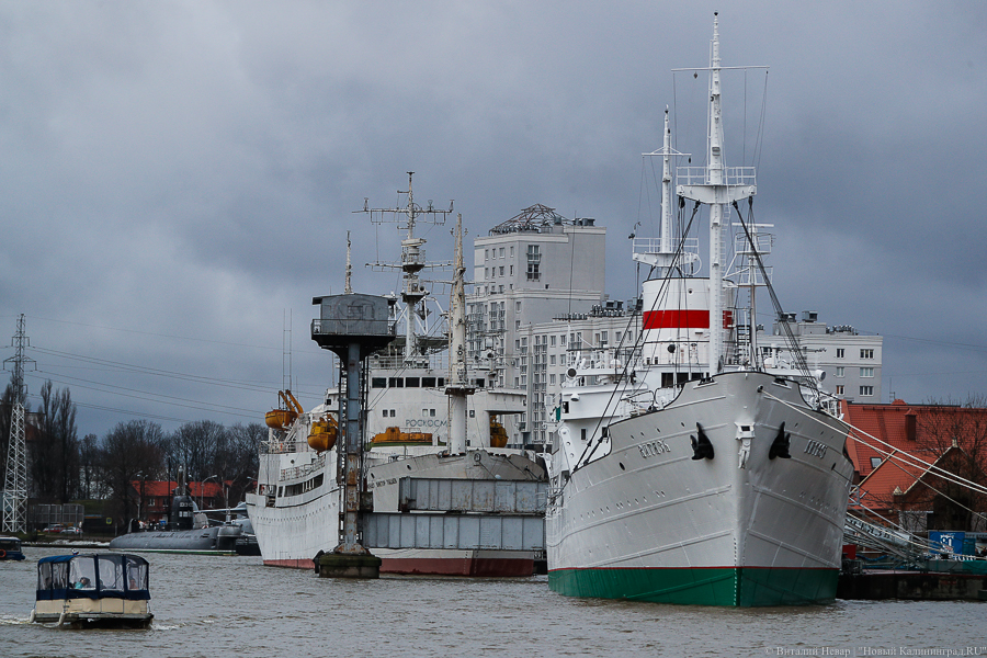 Виталий Невар / Новый Калининград