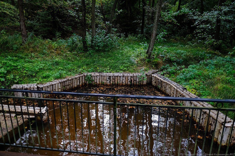 Муза освоения: как за федеральные деньги благоустраивают парк в Светлогорске