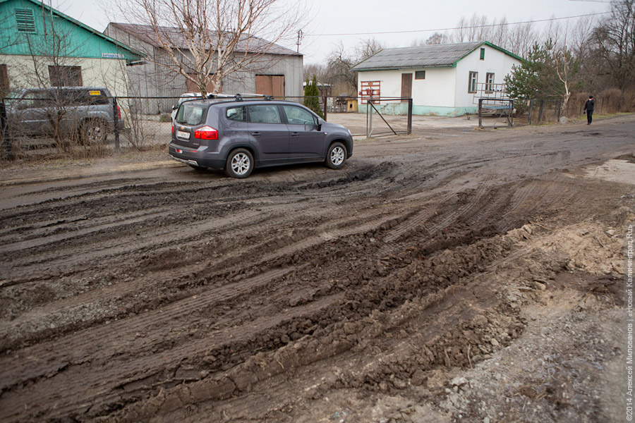 «МАН» бежит, земля дрожит: что происходит с дорогой к строящемуся стадиону на Острове
