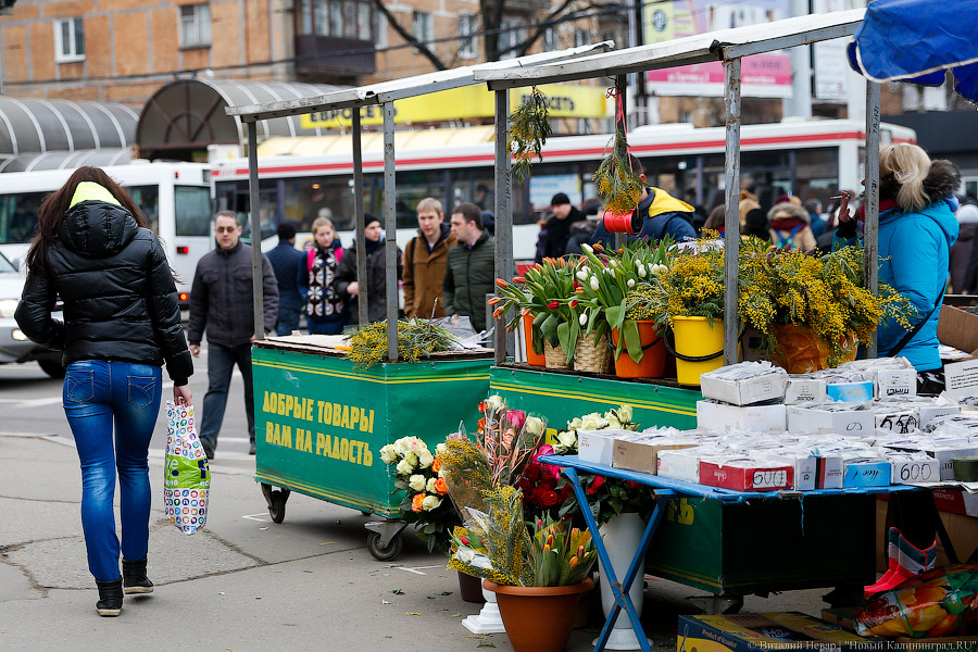 Кругом Голландия: сколько стоят цветы в центре Калининграда