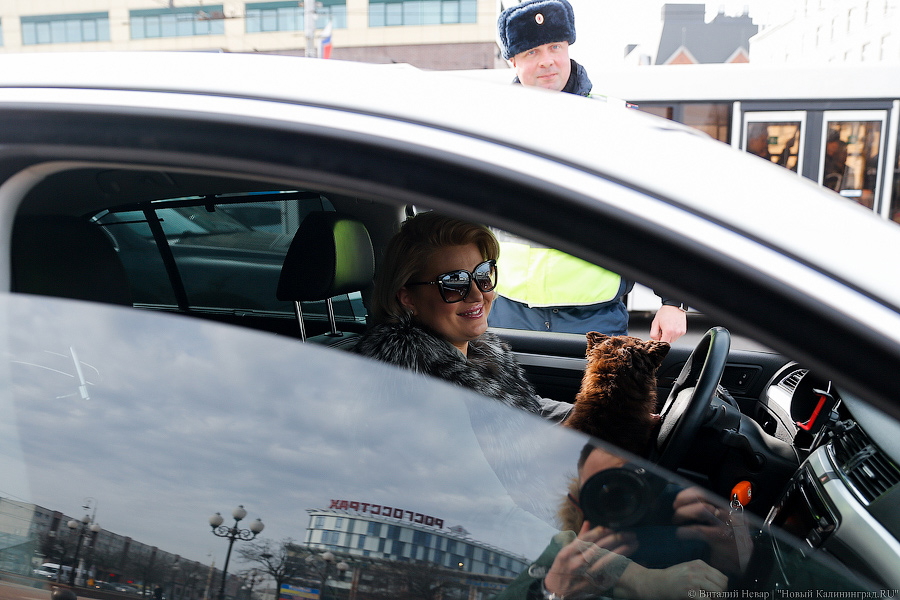 Простые романтики: как сотрудники ГИБДД девушкам цветы дарили (фото)