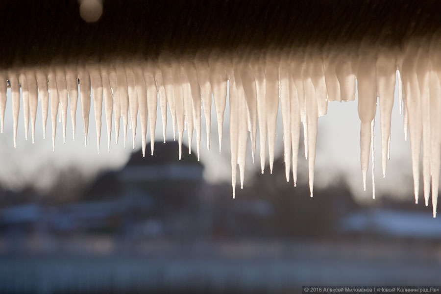 Сцены у моря: как выглядит променад в Зеленоградске после шторма