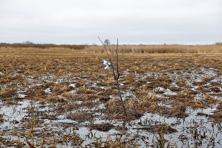 Регион «забрал» из федеральной собственности участок в 3,5 тыс. га под Полесском