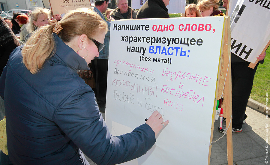 "Педозастройщики и пни во власти": фоторепортаж "Нового Калининграда.Ru"