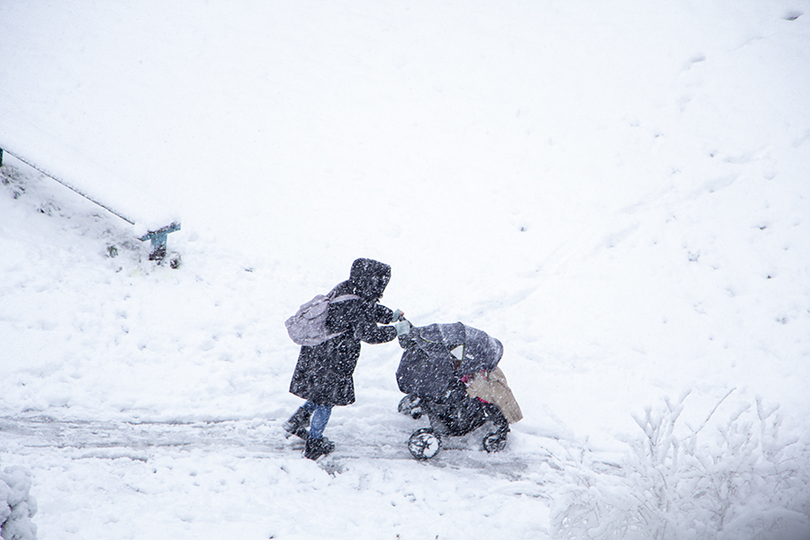 Госдума приняла закон о продлении программы маткапитала