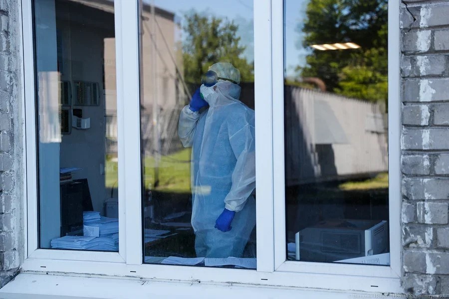 В Калининградской области выявлено еще четыре десятка случаев коронавируса