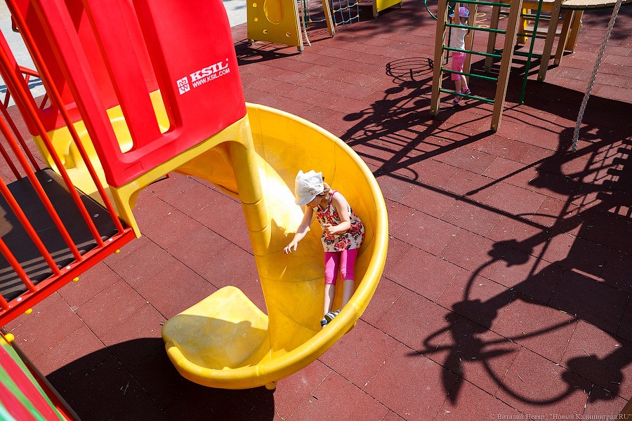 Все мы разные, все мы равные: в Калининграде открыли инклюзивный парк (фото)