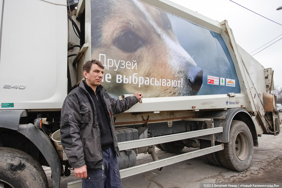 «Друзей не выбрасывают!»: В Калининграде началась акция, посвященная домашним животным