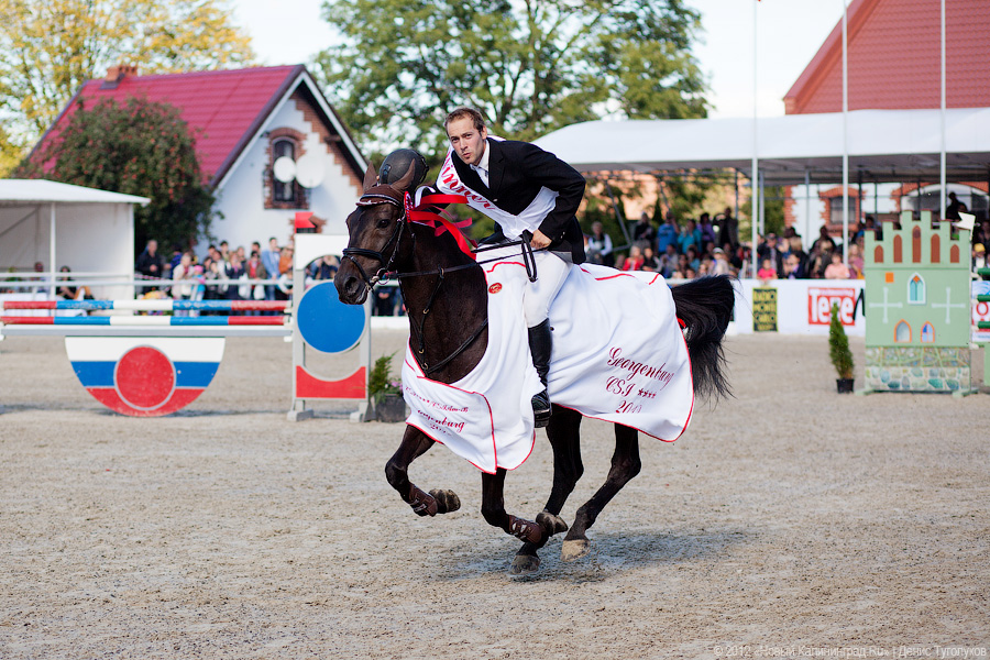 «Кубок президента РФ для немцев»: фоторепортаж с турнира по конкуру в Георгенбурге