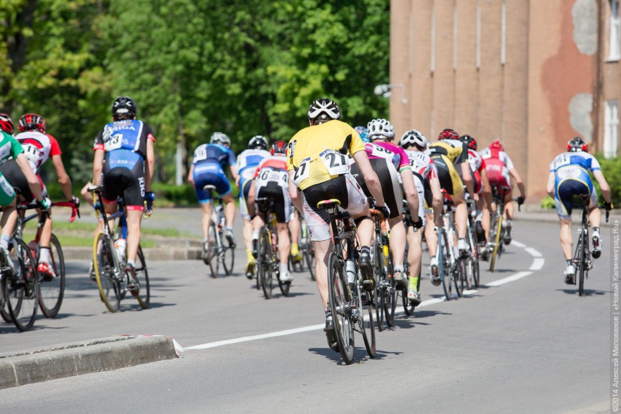 Замглавы администрации Калининграда задекларировал два велосипеда