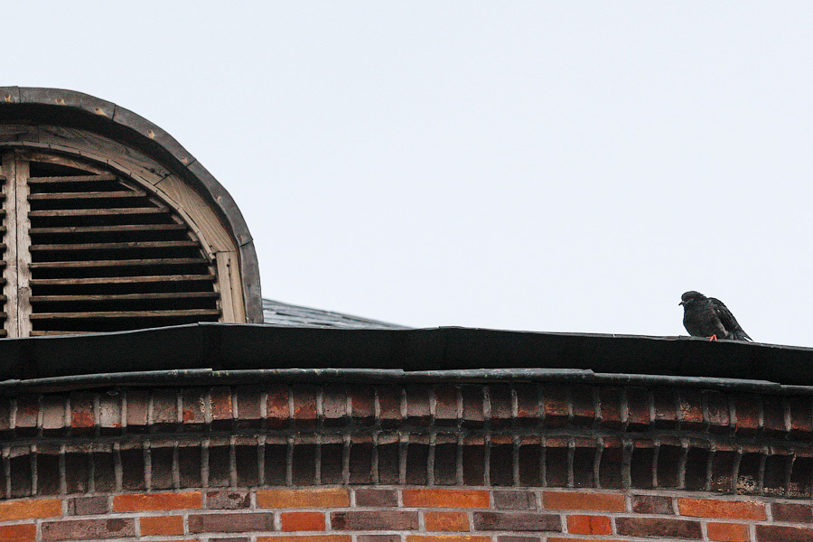 Автомастерская, фабрика, церковь: как строили и восстанавливали Кирху Креста на Острове