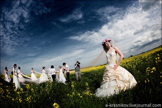 В июне в Калининградской области сыграно в 3 раза больше свадеб, чем в мае