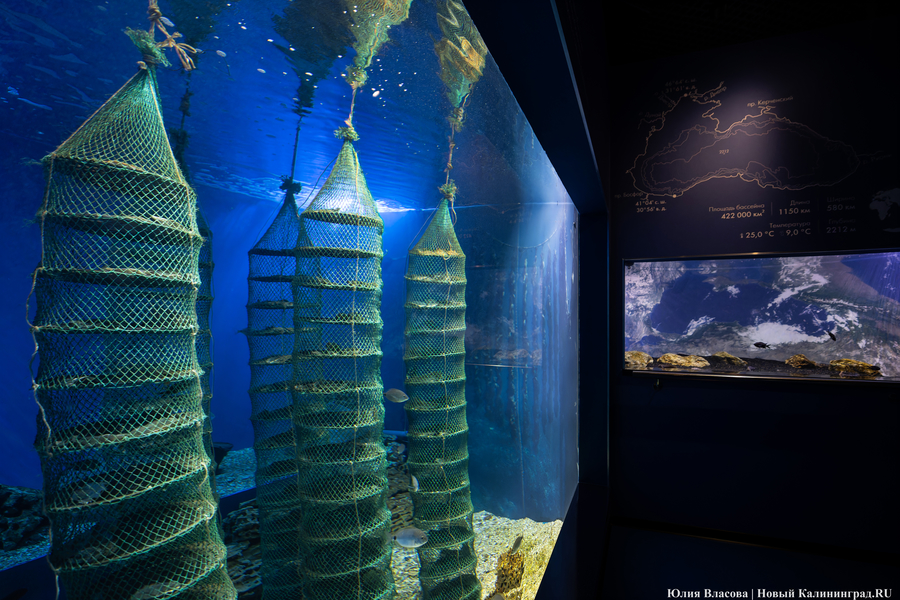 Музей-корабль, музей-планета: экскурсия по корпусу-шару «Планета Океан»