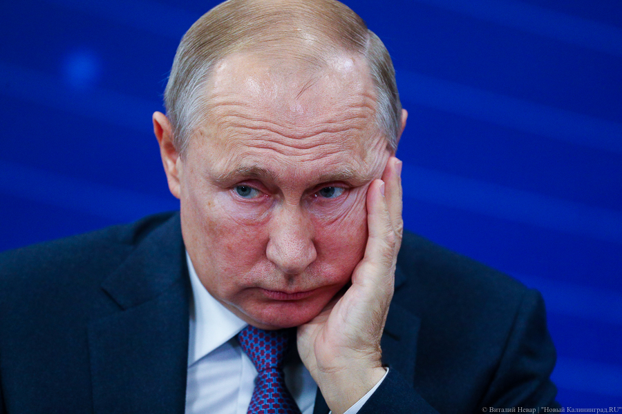 Санкции и котики: что обсуждал в Калининграде Владимир Путин