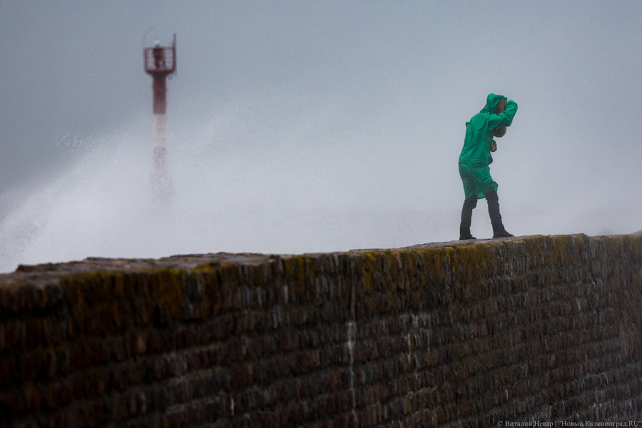 Что нам ветер: фоторепортаж из штормового Балтийска (фото)