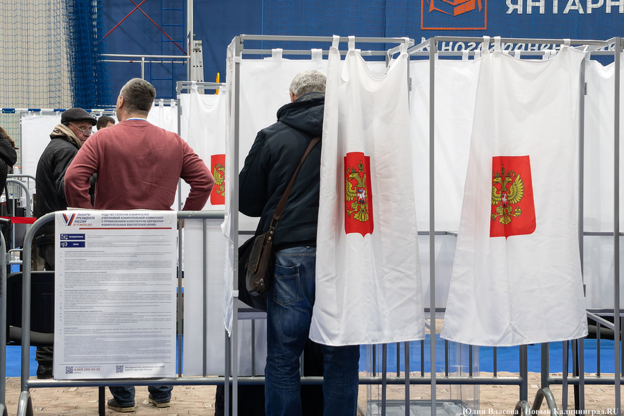 Один на ринге: как проходило голосование в Калининградской области (фото)