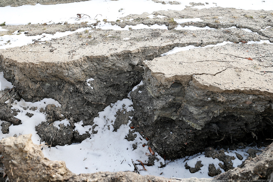 Под давлением: что происходит с берегом у резиденции президента в Пионерском