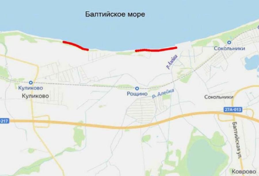 Определился подрядчик берегоукрепления у соснового бора в Куликово
