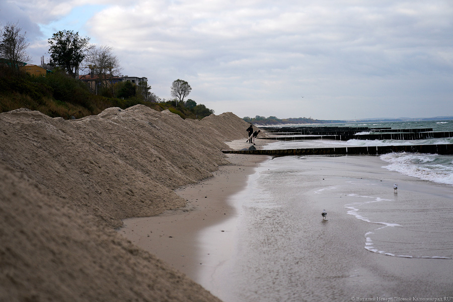 От «Нептуна» до кемпинга: в Зеленоградске укрепляют 1,5 км морского побережья (фото)