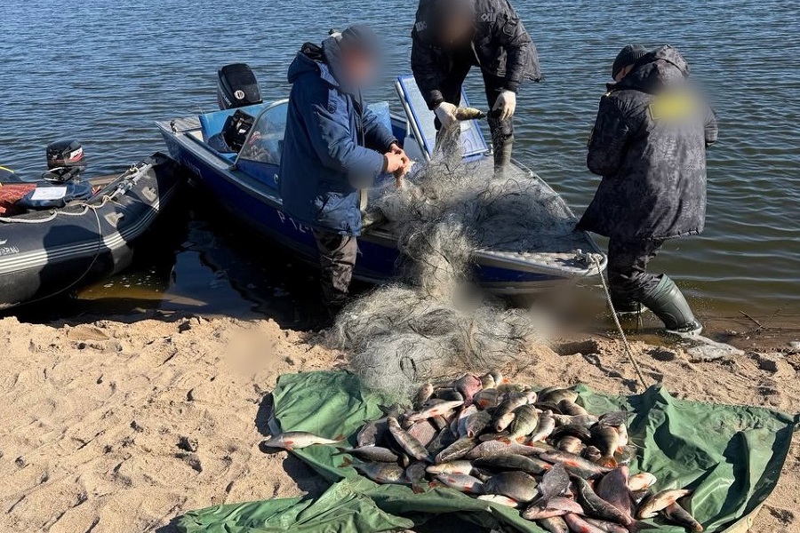В акватории Калининградского залива задержали браконьера с тремя сетями (фото)
