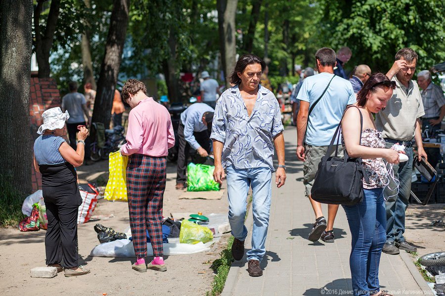 Главный архитектор Калининграда: блошиного рынка в нынешнем виде в парке не должно быть