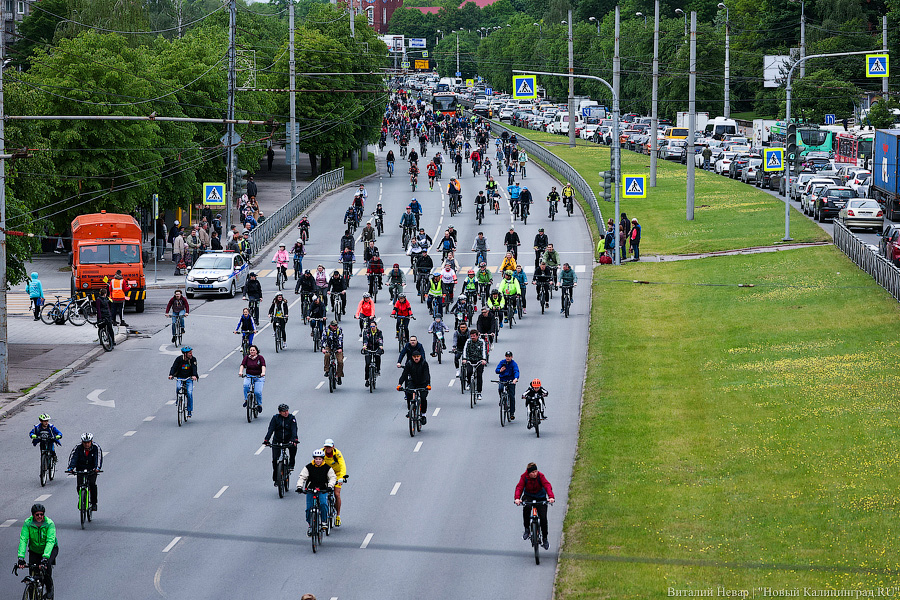 Лыжи, велики, унициклы: как прошёл велопарад в Калининграде (фото)