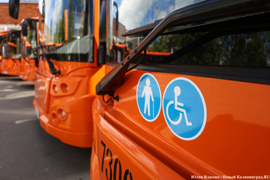 «Не надо искать особенностей»: в Калининграде на линию выпустили новые ЛиАЗы (фото)