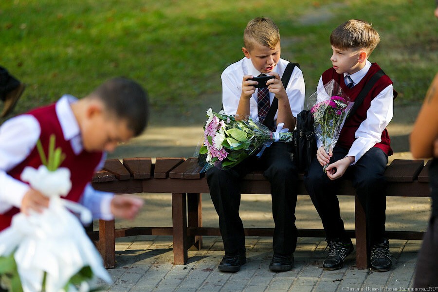 В регионе создают сайт для повышения психолого-педагогической грамотности родителей 