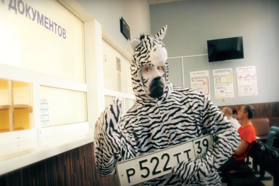 Зебра в яблоках: калининградская полиция сняла странный ролик о госуслугах (видео)