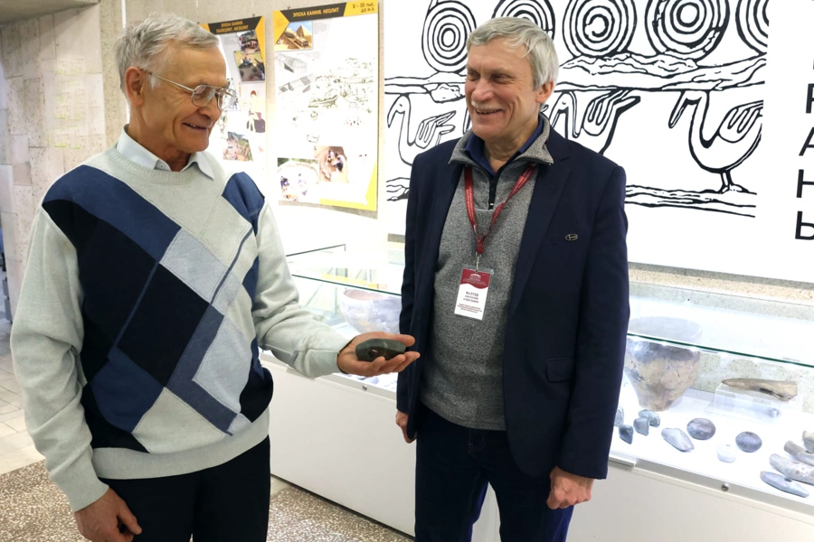 В калининградском СНТ нашли топор-молот каменного века (фото)