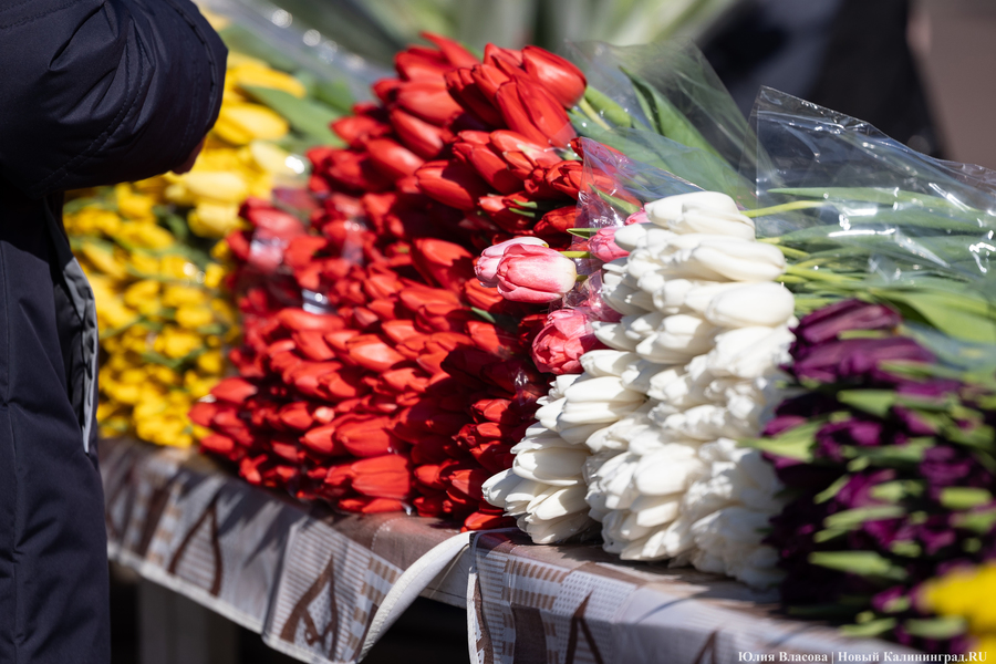 Цветочные баррикады: как выглядят улицы Калининграда 8 марта (фото)