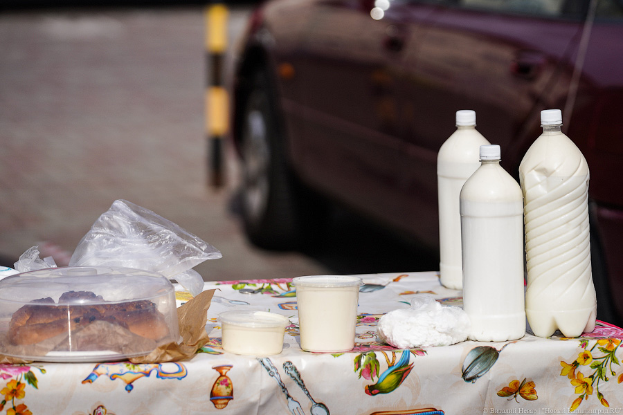 Базар-вокзал: как проходит сельхозярмарка на площади Победы в Калининграде