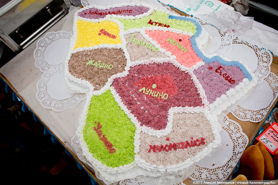 «Процветает всё кругом»: трёхлетие губернатора отметили муниципальным фестивалем (фото)