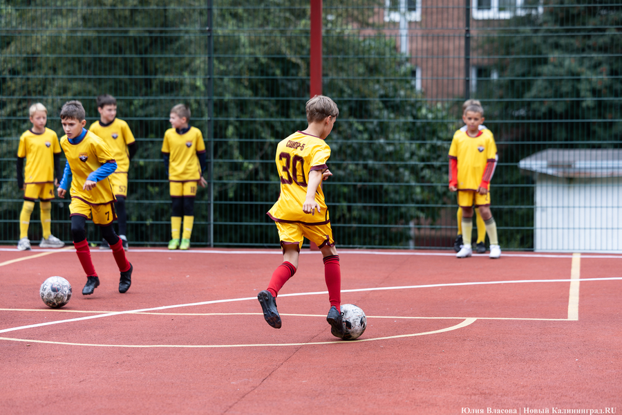 В Калининграде во второй раз за пятилетку открыли спортплощадку на Трибуца (фото)