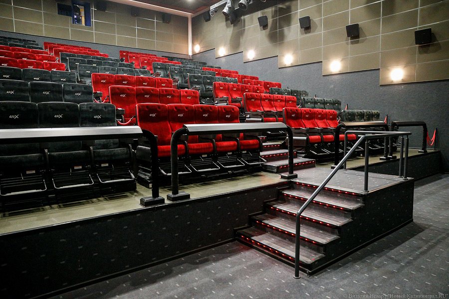 Фото: Виталий Невар / Новый Калининград 