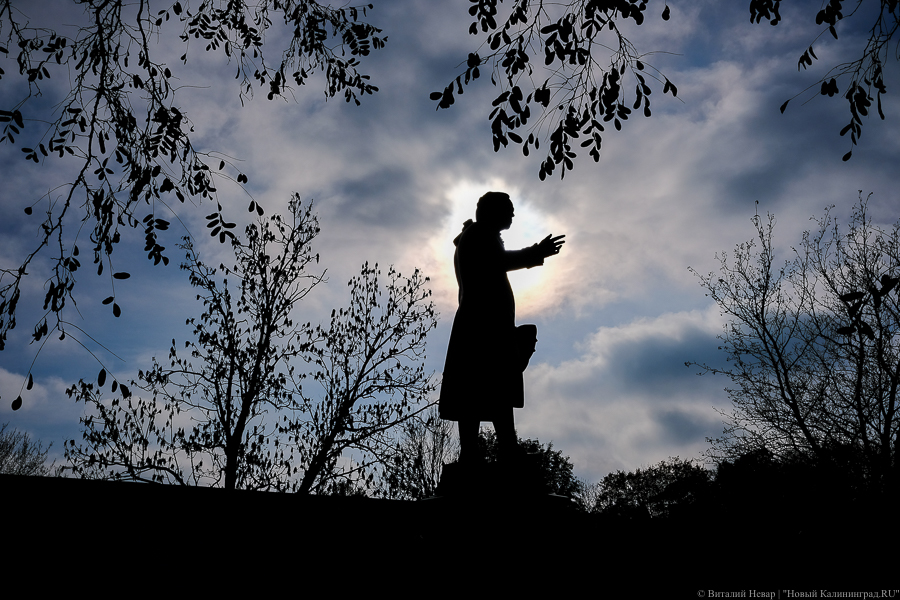 Фото: Виталий Невар / Новый Калининград 