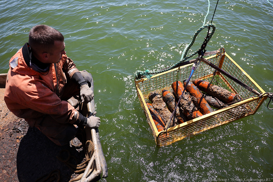 20 тысяч мин под водой: как проходит «разоружение» немецкой баржи под Балтийском (фото)