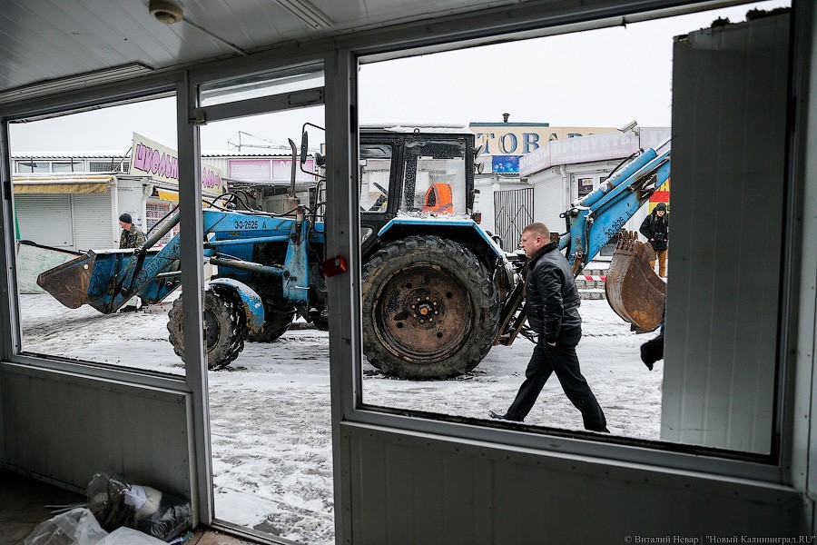 Фото — Виталий Невар, «Новый Калининград»