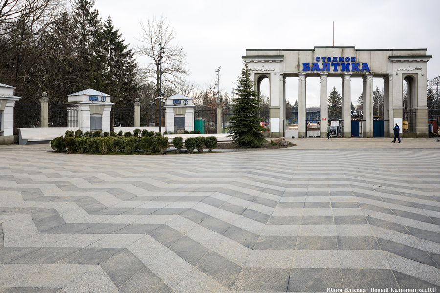 Стояли 3 сосны. Три сосны у дороги. Стояли 3 сосны. Три сосны в муроме. Три сосны муром.