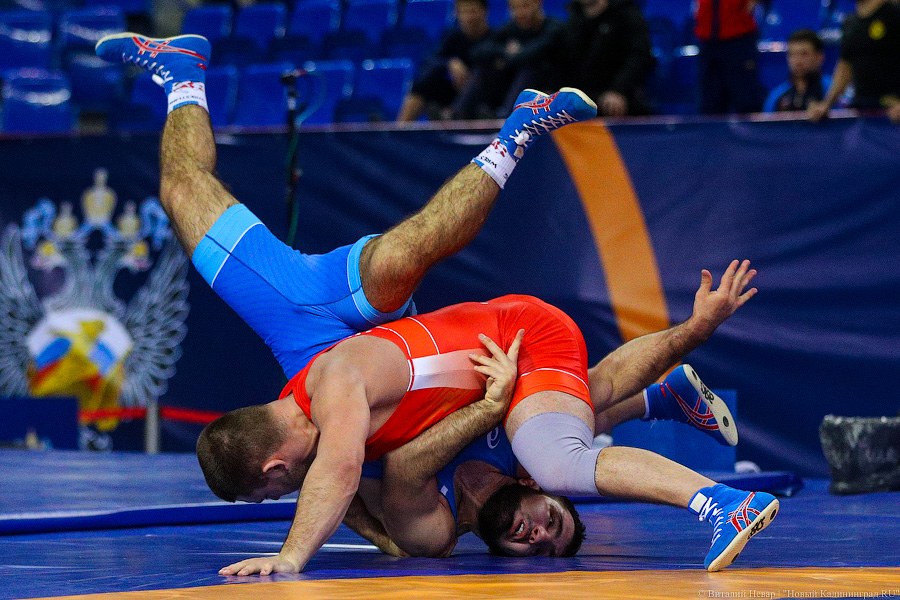 Просто мощь: чемпионат России по греко-римской борьбе идет в Калининграде (фото)