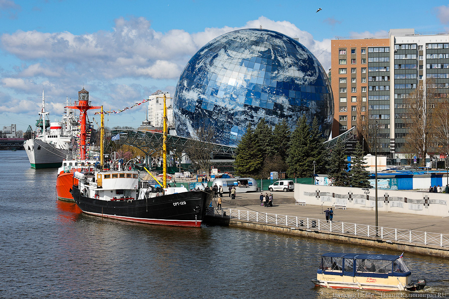 Рыжая заря и бульбачка: День селёдки вернулся в Калининград (фото)