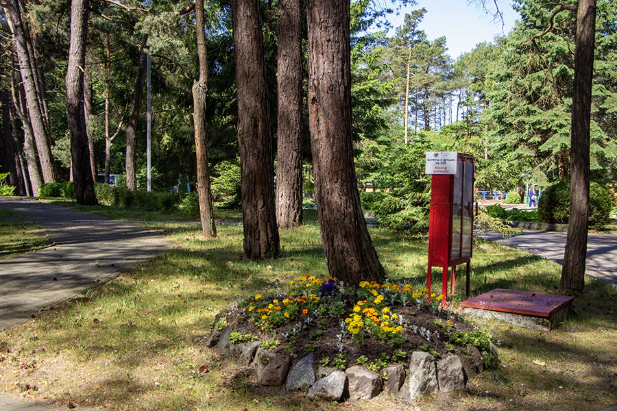Как выглядит «Юность»: детские загородные центры готовятся к старту сезона (фото)