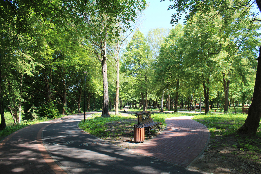 Жителям Калининградской области предложили выбрать территории для благоустройства