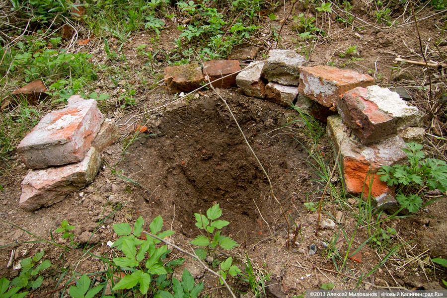 «А денег нет»: в переданной РПЦ кирхе 14-го века в Храброво валяются человеческие кости
