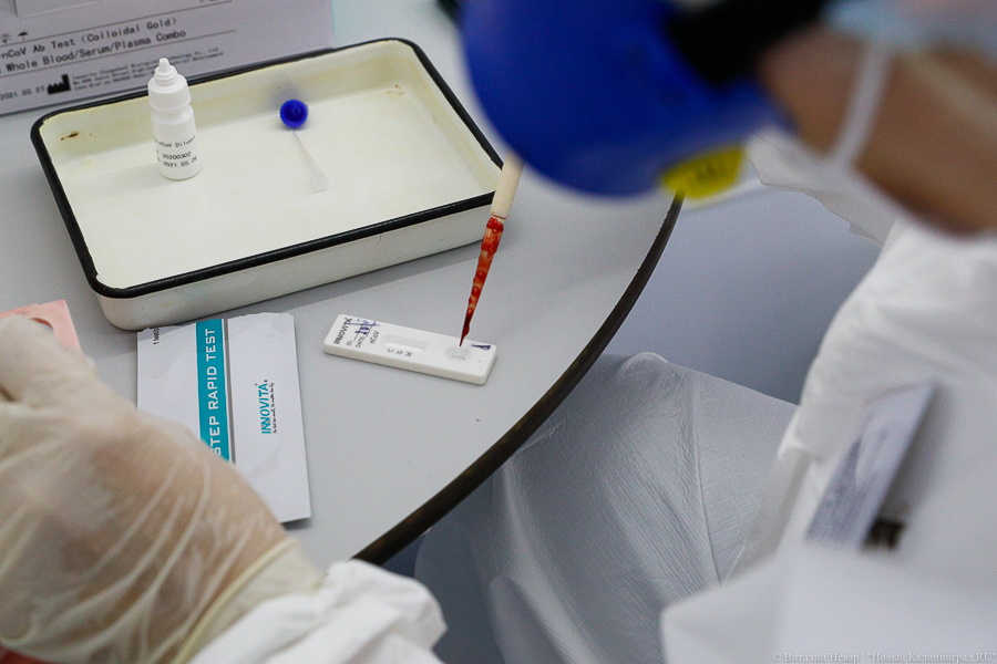 В Калининградской области снова выявили рекордное число заболевших коронавирусом